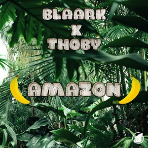 Blaark
