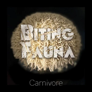 Biting Fauna