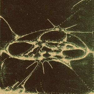 Hibziak
