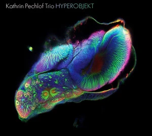 Kathrin Pechlof Trio
