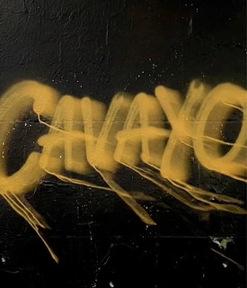 Cavayo