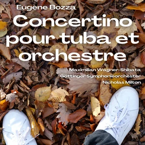 Göttinger Symphonieorchester