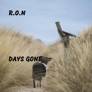 R.O.N