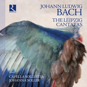 Johanna Soller
