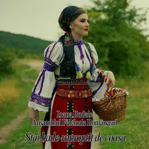 Ansamblul Folcloric Românașul