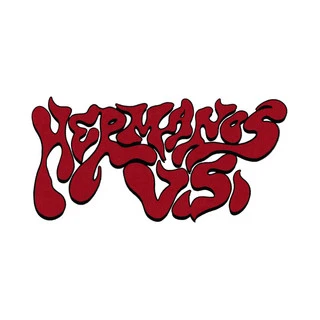 Hermanos Visi