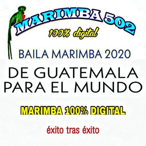 Marimba 502