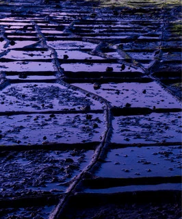 Brine Pool