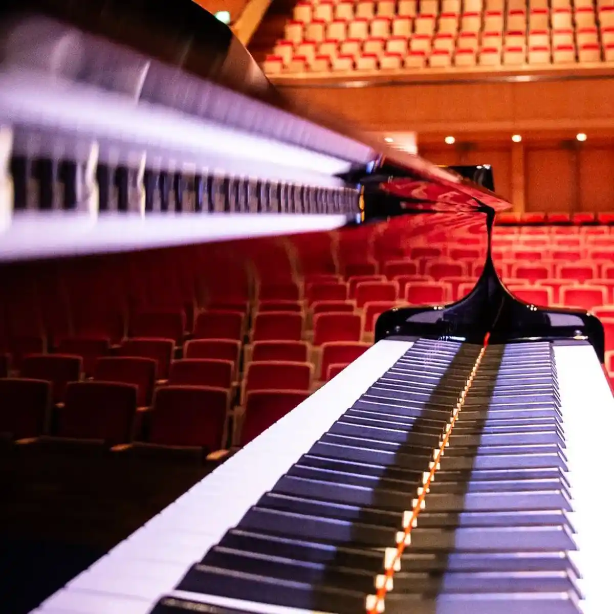 Lunchconcert — i.s.m. Muziekinstrumenten Fonds