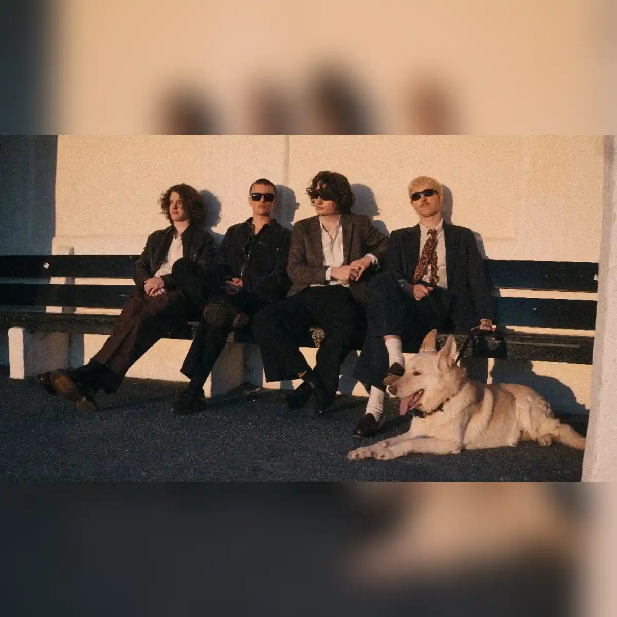 The Royston Club - Songs For The Spine Tour