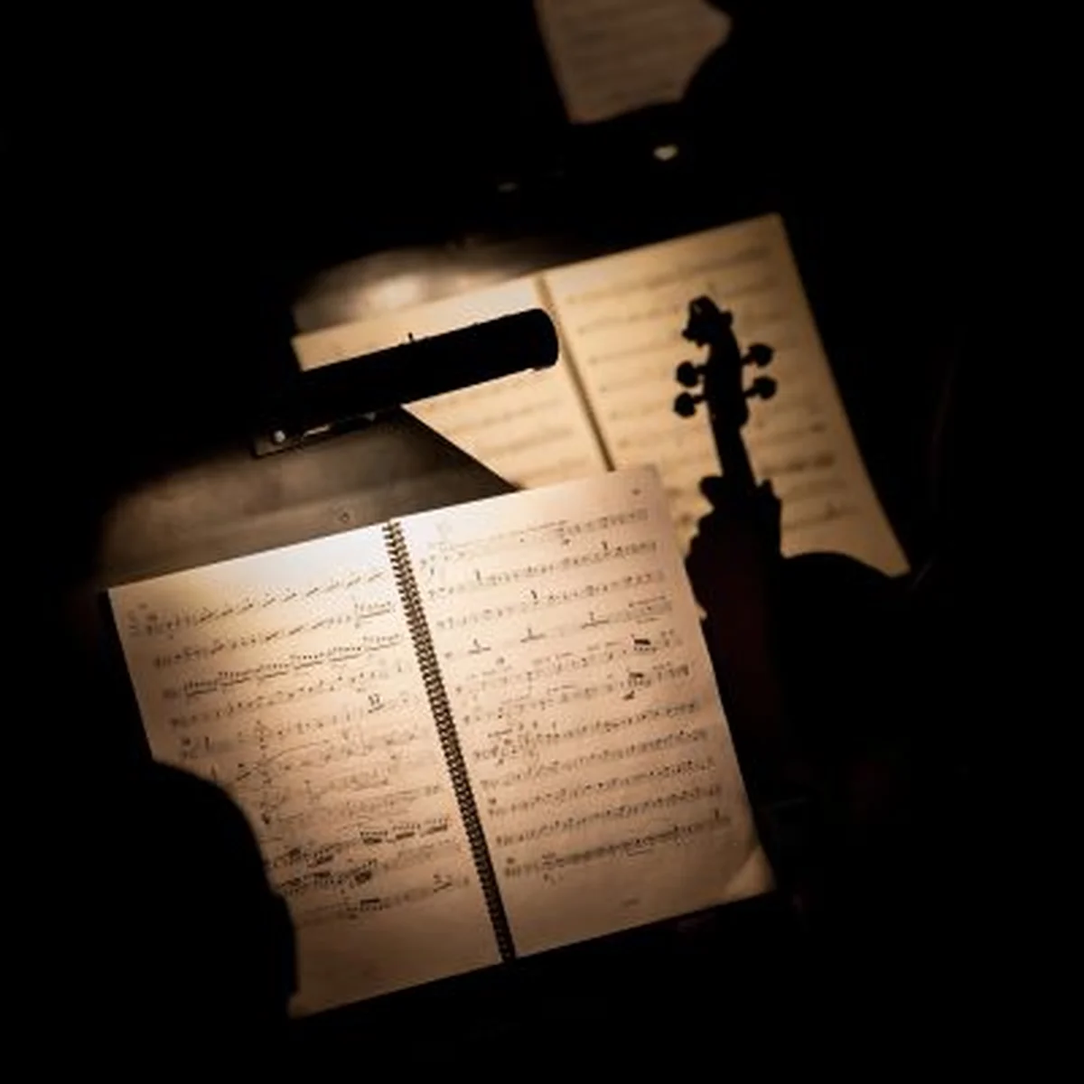 A Fiddler's Tale