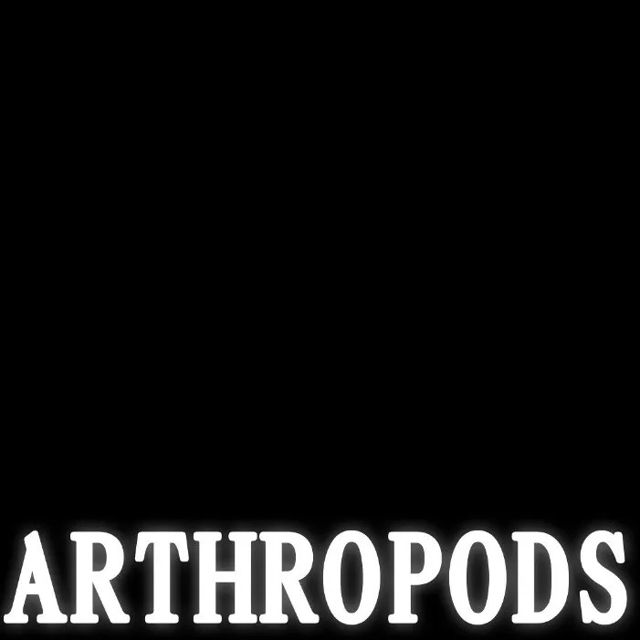 ARTHROPODS