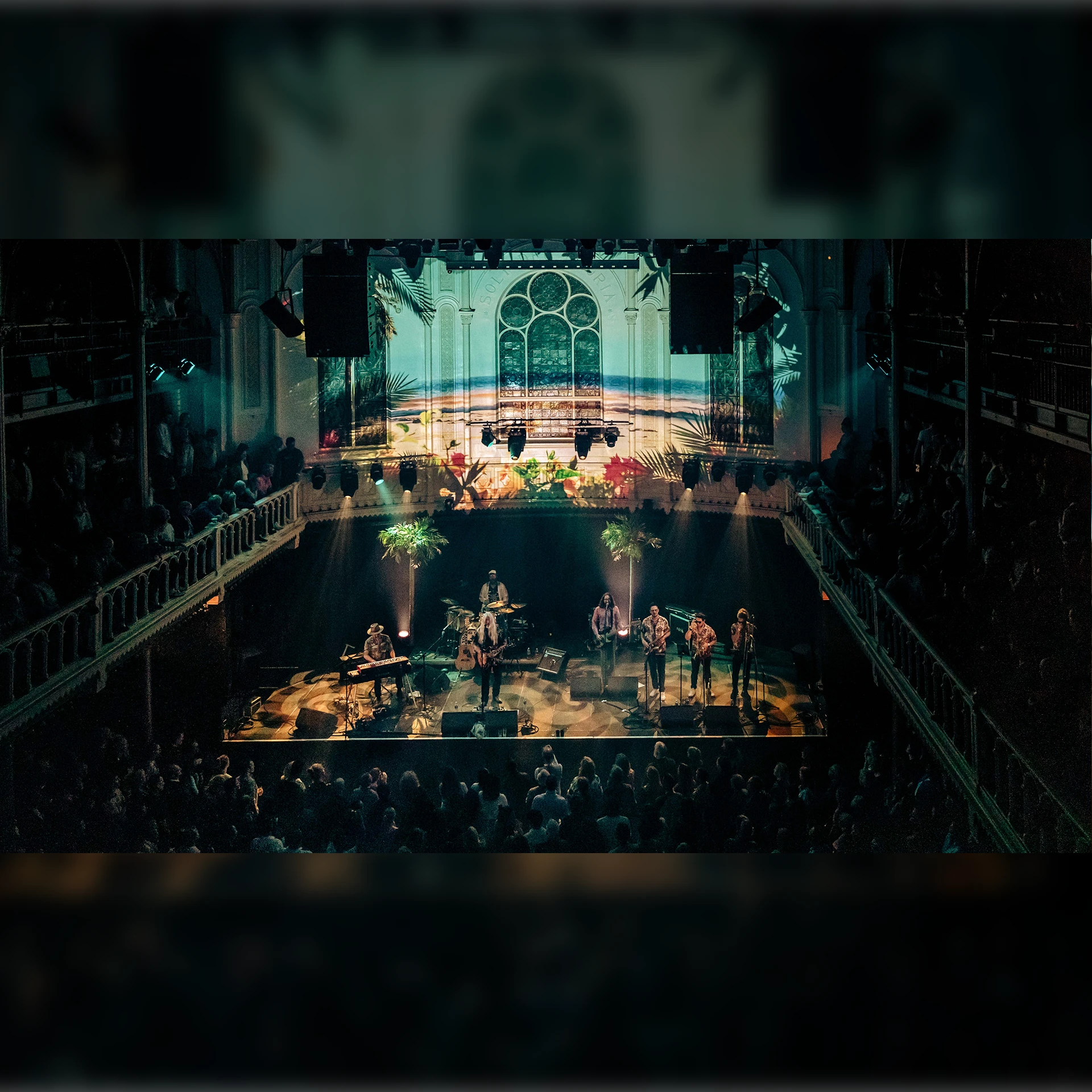 Young Gun Silver Fox