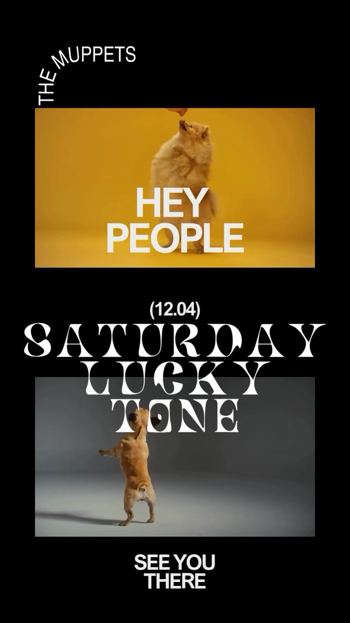 LUCKY TONE