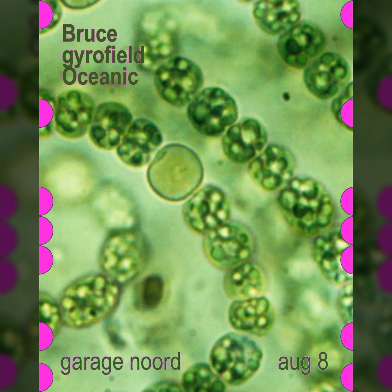 Bruce, gyrofield, Oceanic