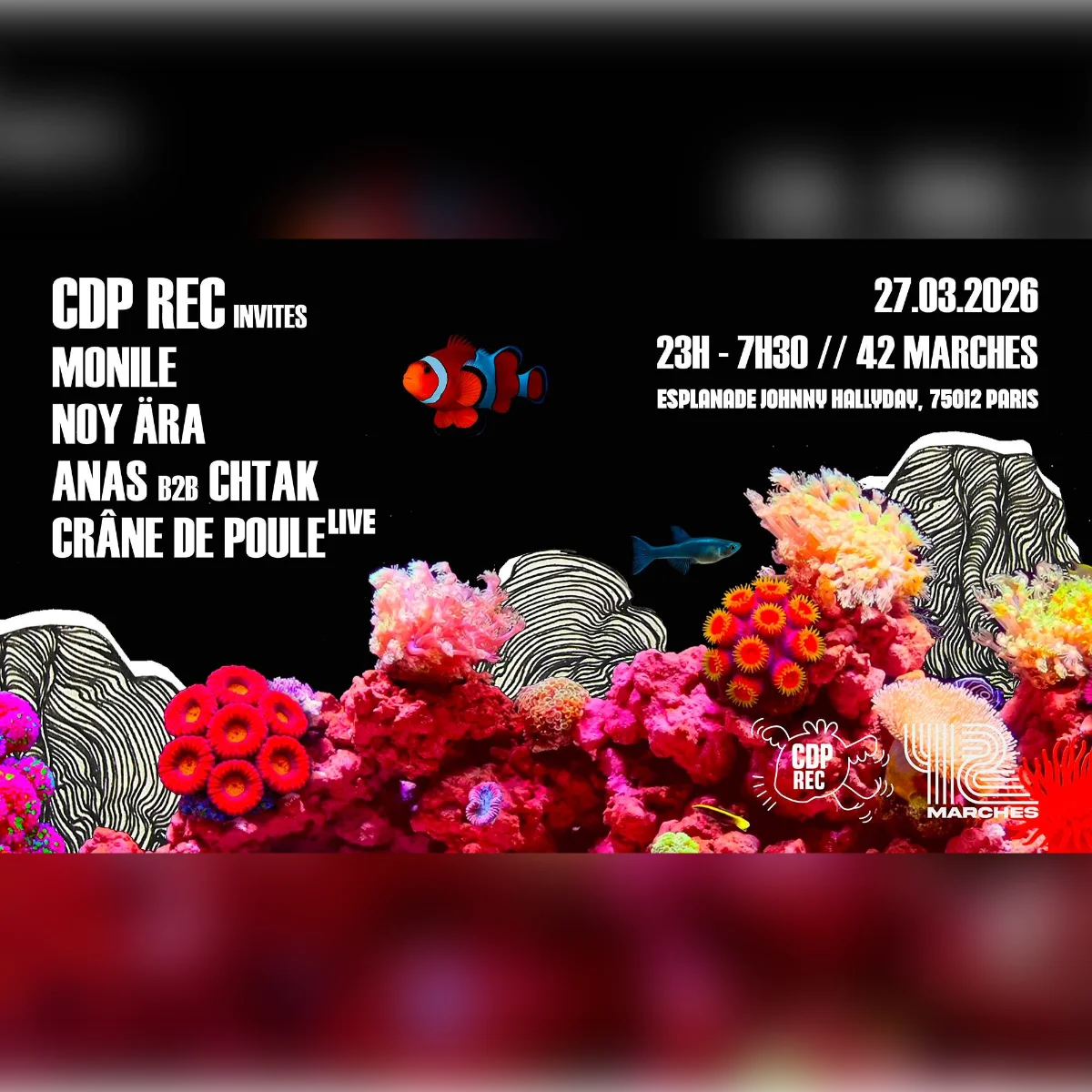 Cdp Rec: Monile, Noy Ära, Anas, Chtak, Crâne De Poule