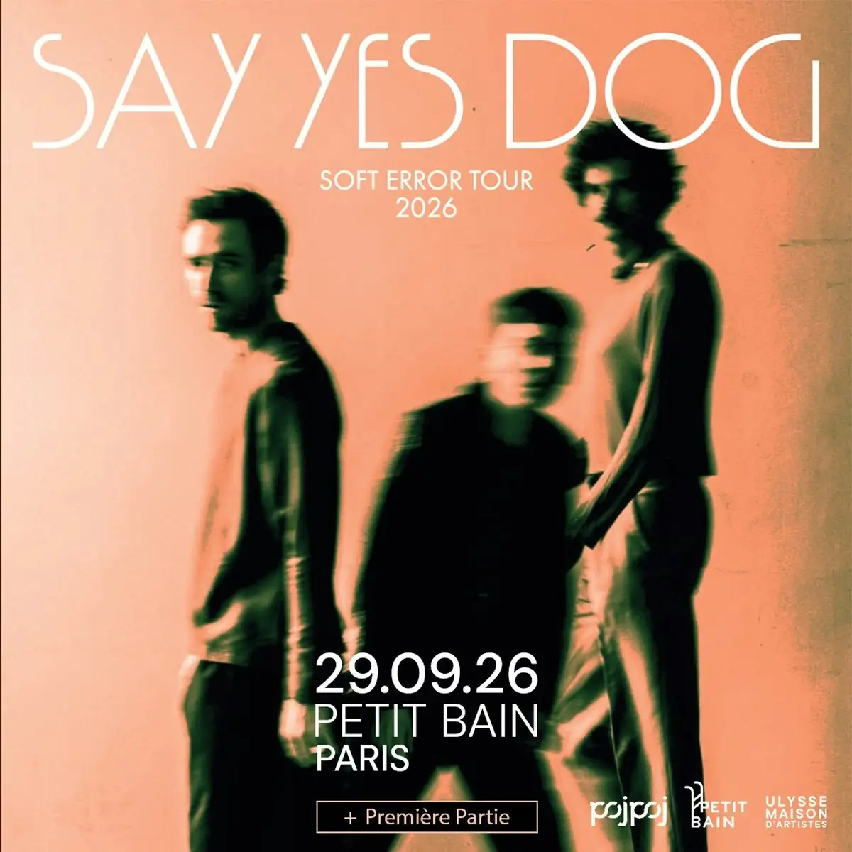 Say Yes Dog