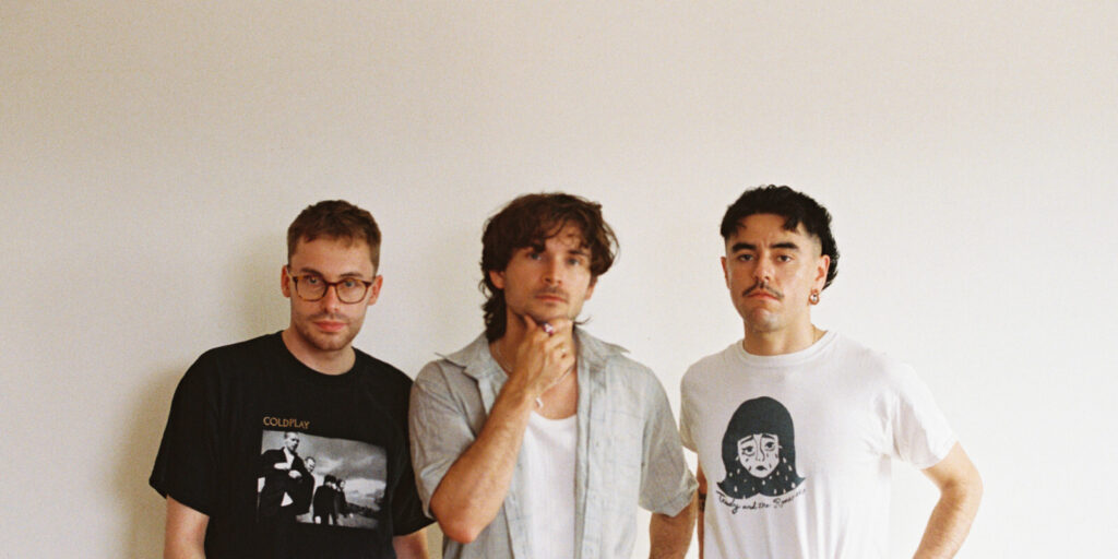 Dutch Criminal Record