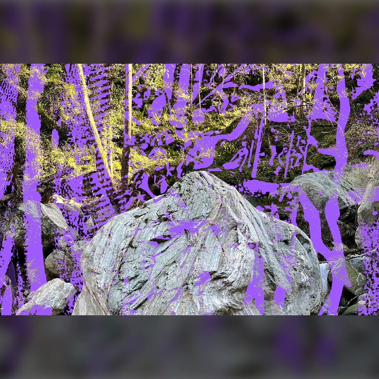 Laura Agnusdei / Free Piece of Tape