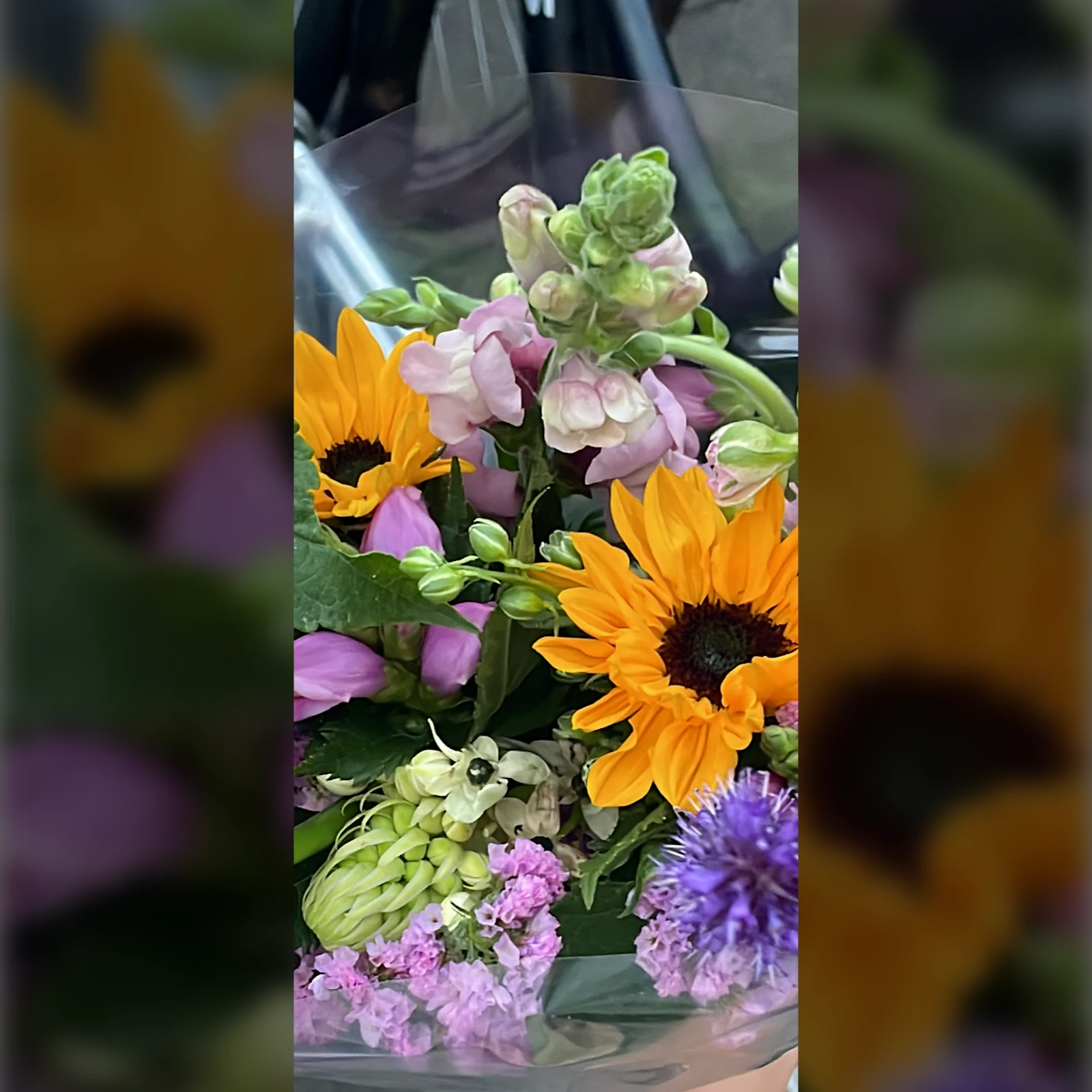 amz invites garnett, nushin, and siga