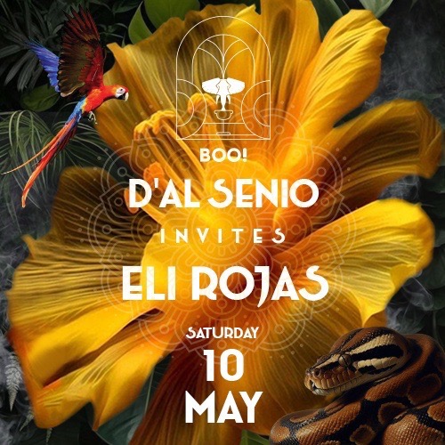 D'AL SENIO invites ELI ROJAS