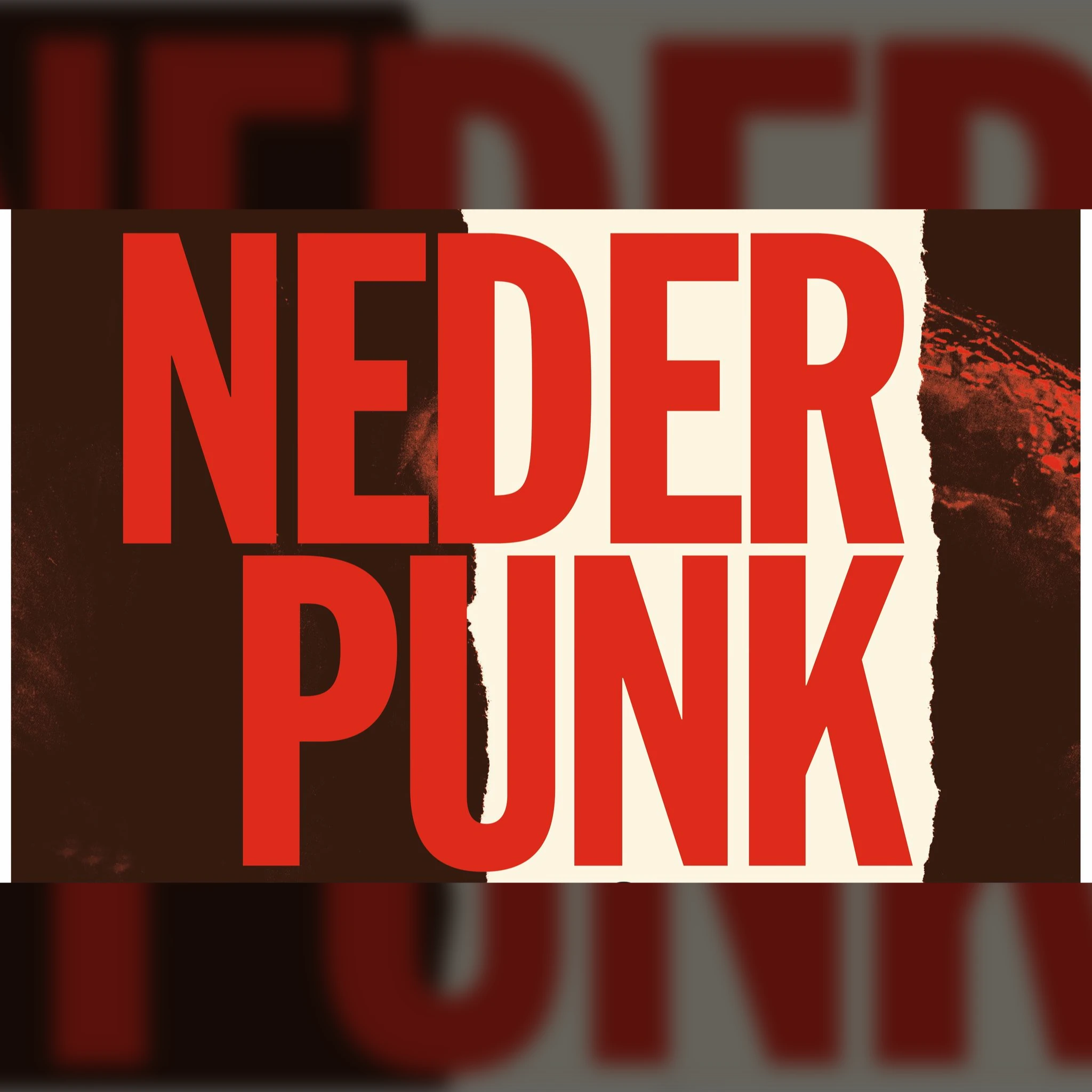 Nederpunkfestival