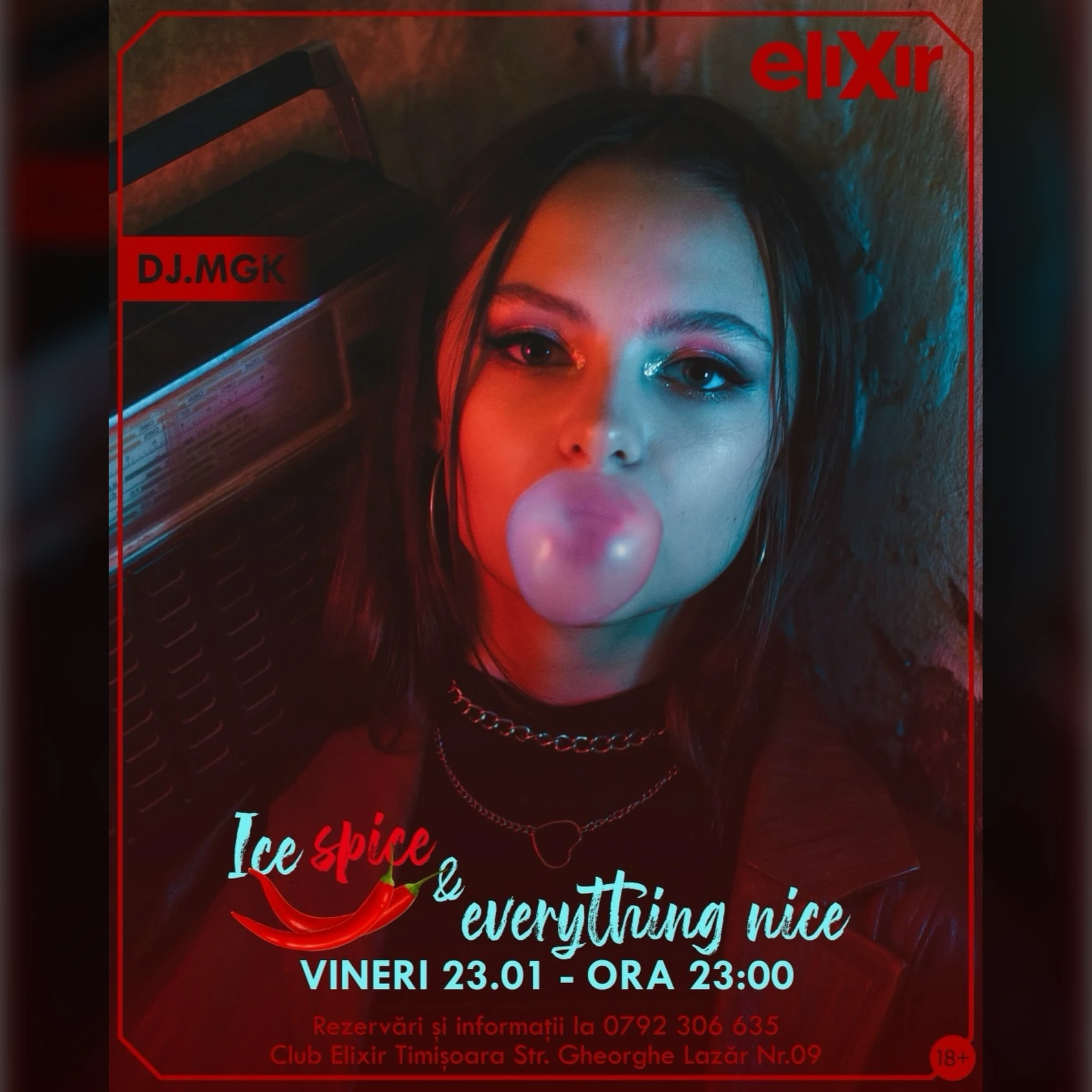 Ice Spice & Everything Nice