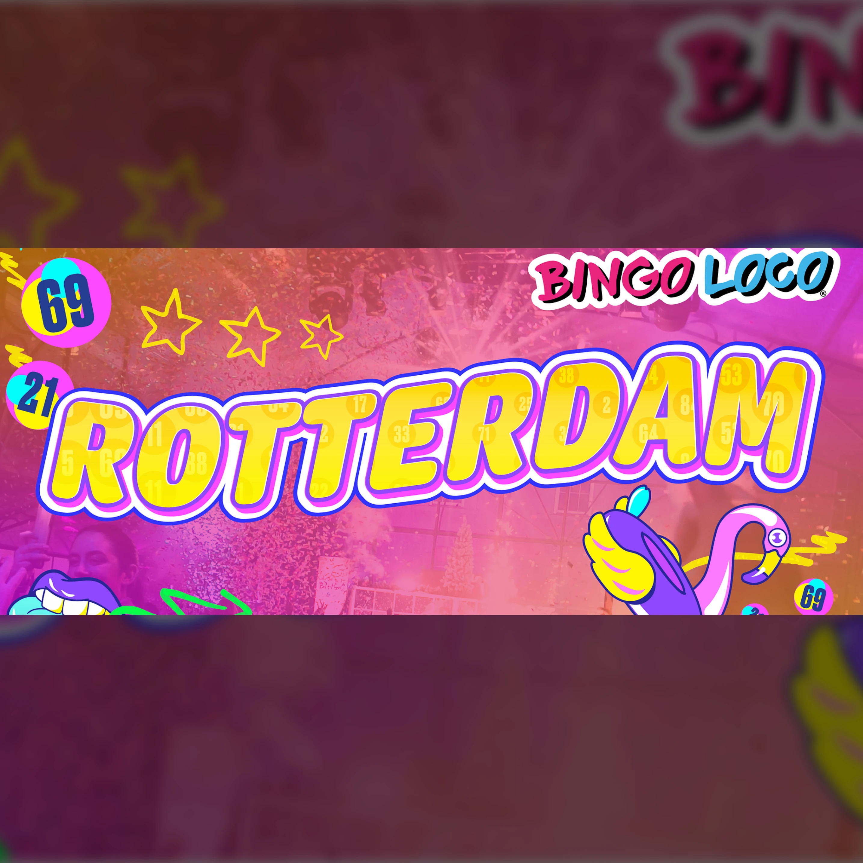 Bingo Loco