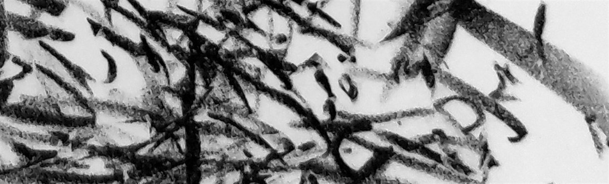 Mathieu Sylvestre / Giovanni Di Domenico