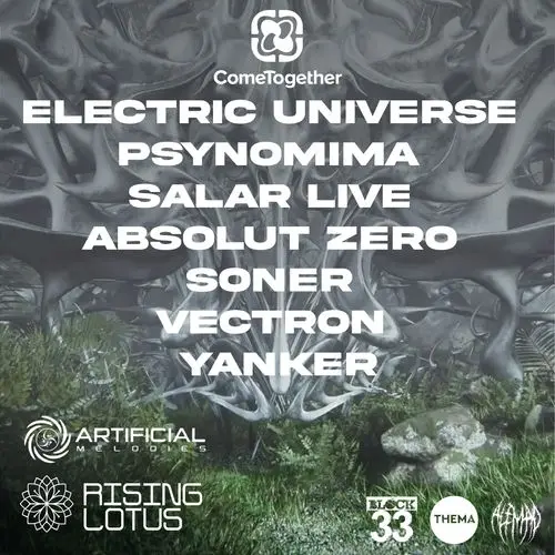 NYE 2025 / Rising Lotus x Artificial melodies x Alemao