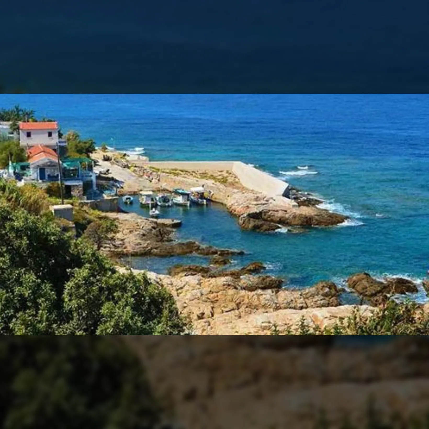 Ψαροπανηγύρι | Αυλάκι 