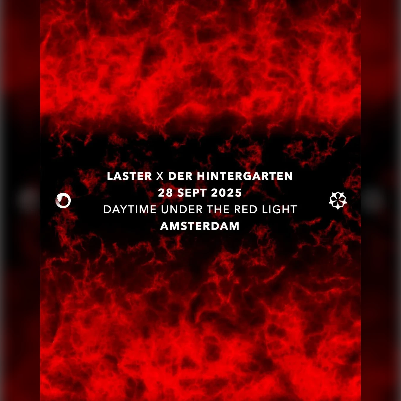 LASTER x Der Hintergarten