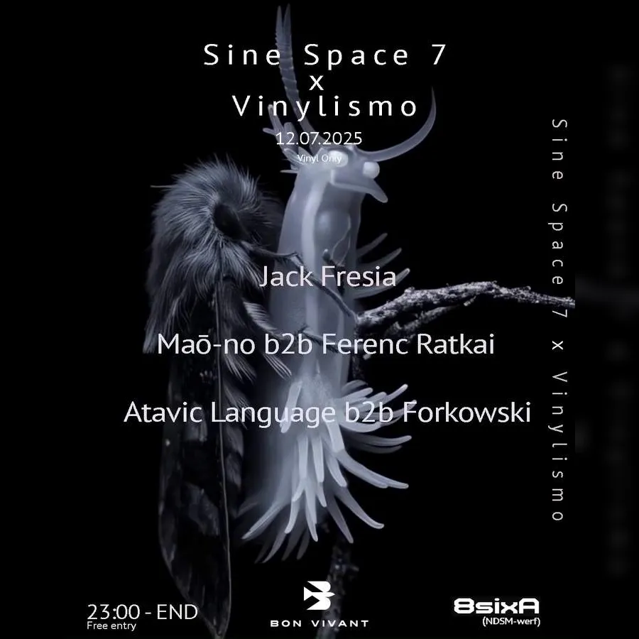 Sine Space 7 X Vinylismo