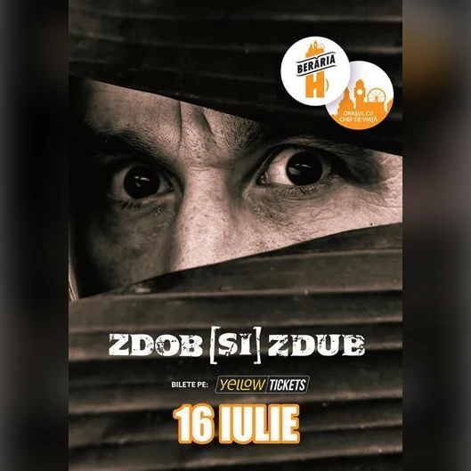 Concert Zdob și Zdub