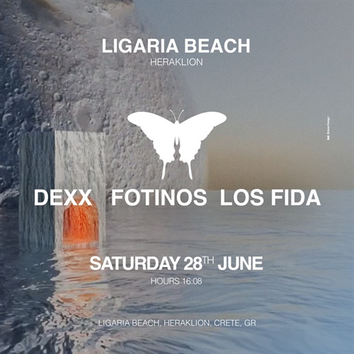 Butterfly 🦋| Powered by Hercle