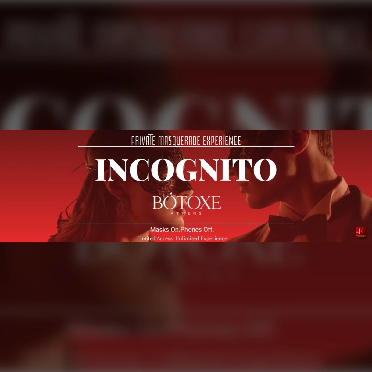 INCOGNITO - Private Masquerade Experience