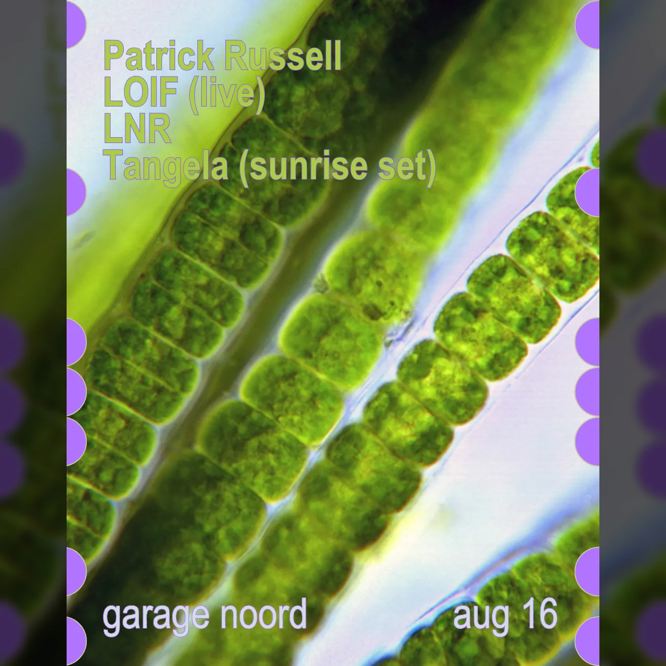 Patrick Russell, LOIF (live), LNR, Tangela (sunrise)