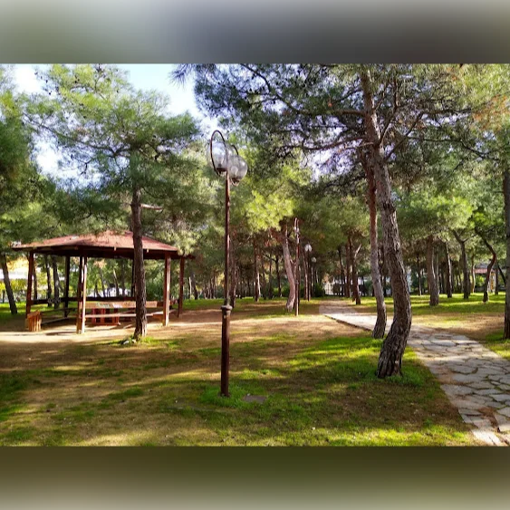 Πανηγύρι στο άλσος Χολαργού 