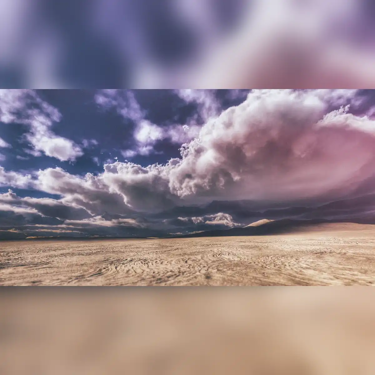 The Desert Music van Steve Reich