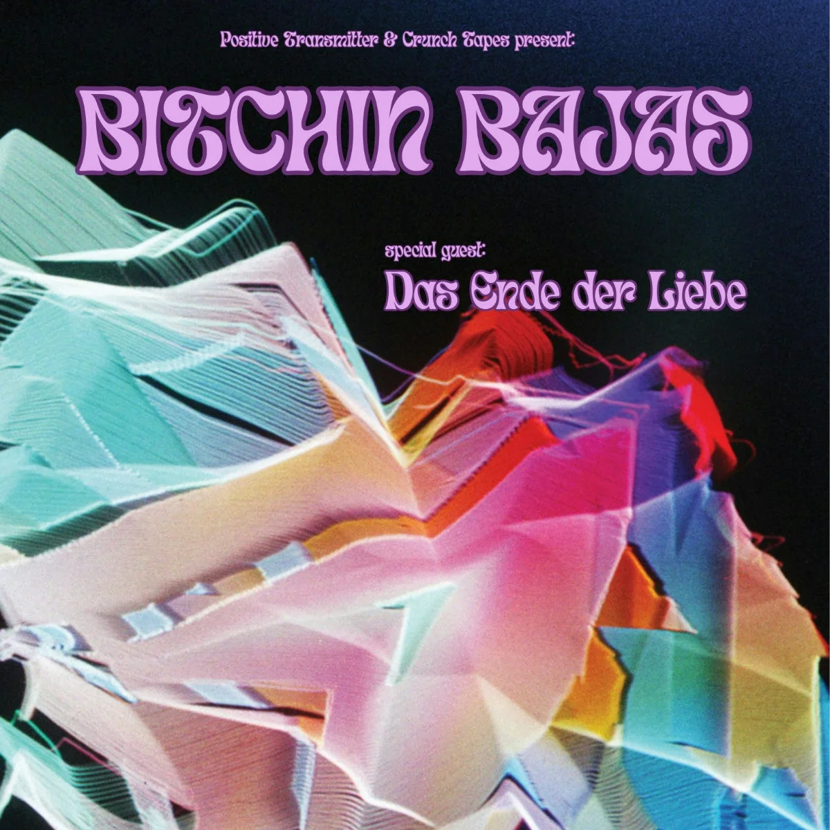 Bitchin Bajas / Das Ende der Liebe