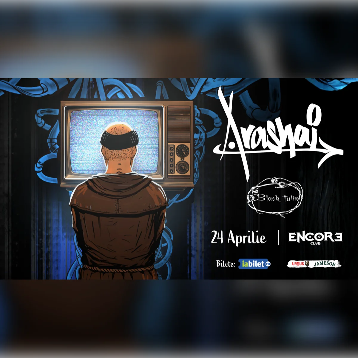 Arashai x Black Tulip 