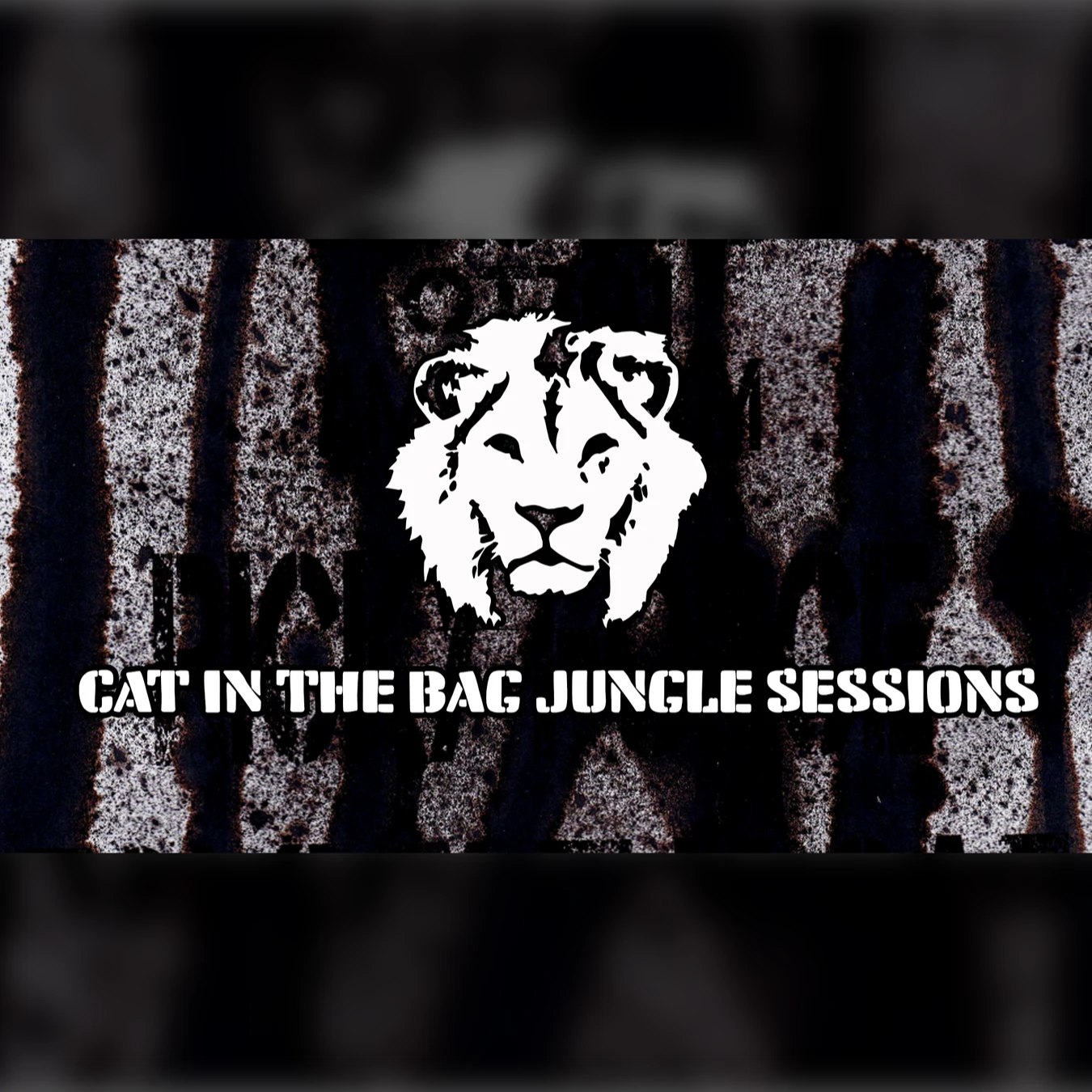 Cat in the bag - label night