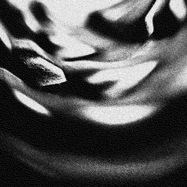 Seb Wildblood pres. all my thoughts - Seb Wildblood