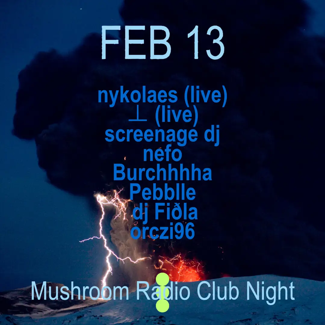 Mushroom Radio Club Night w/ nykolaes , ⊥ , nefo, screenage dj, Burchhhha, Pebblle, dj Fiðla, orczi96