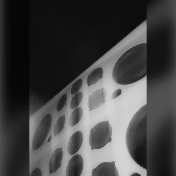 Radio TNP w/ Luca Lozano, Yu Su & Fergus