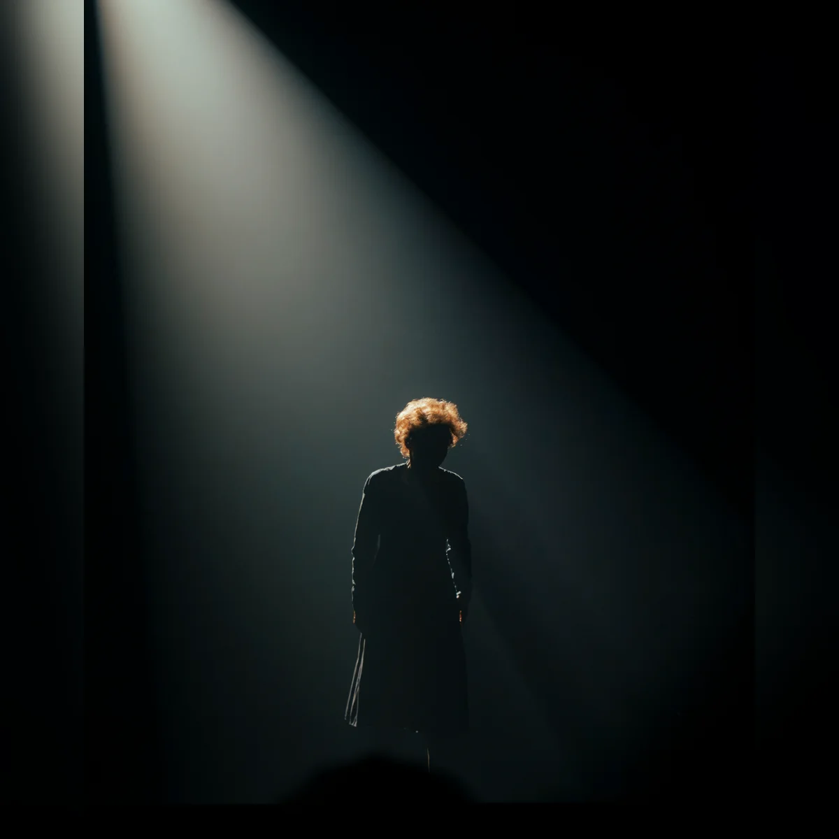 PIAF ! LE SPECTACLE