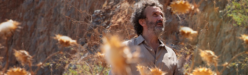 Ψαρογιώργης