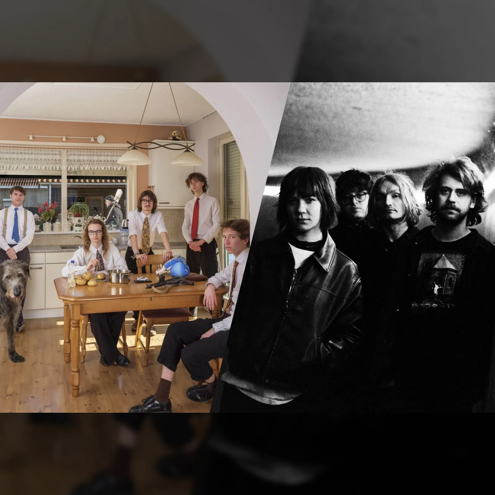 SØWT+ Grote Geelstaart