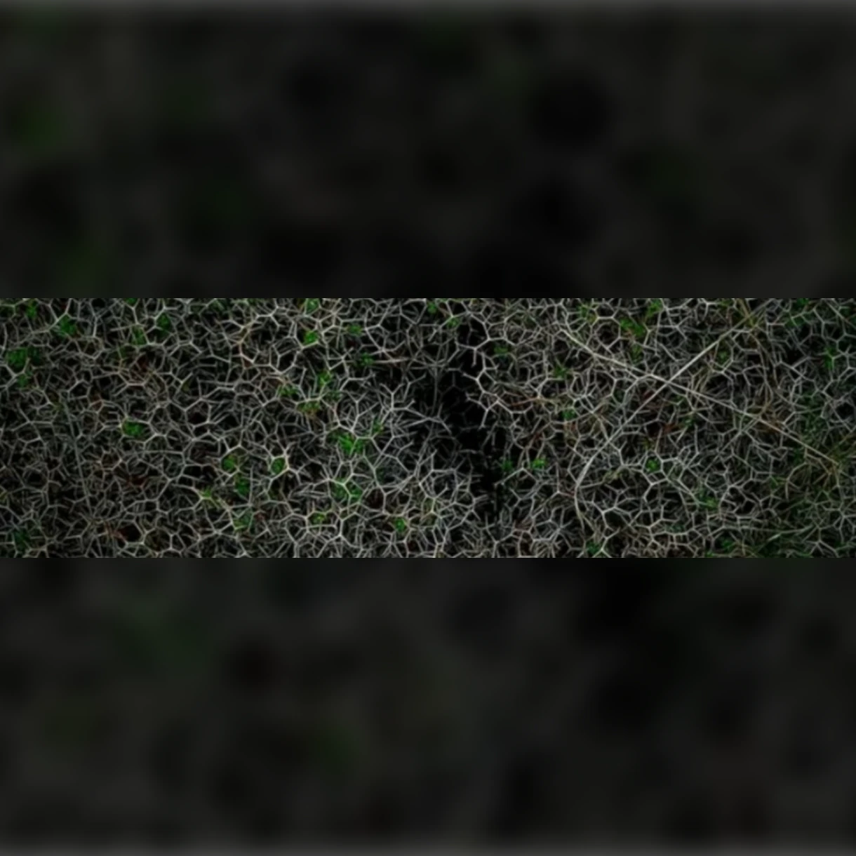 Jules Wysocki / acte vide