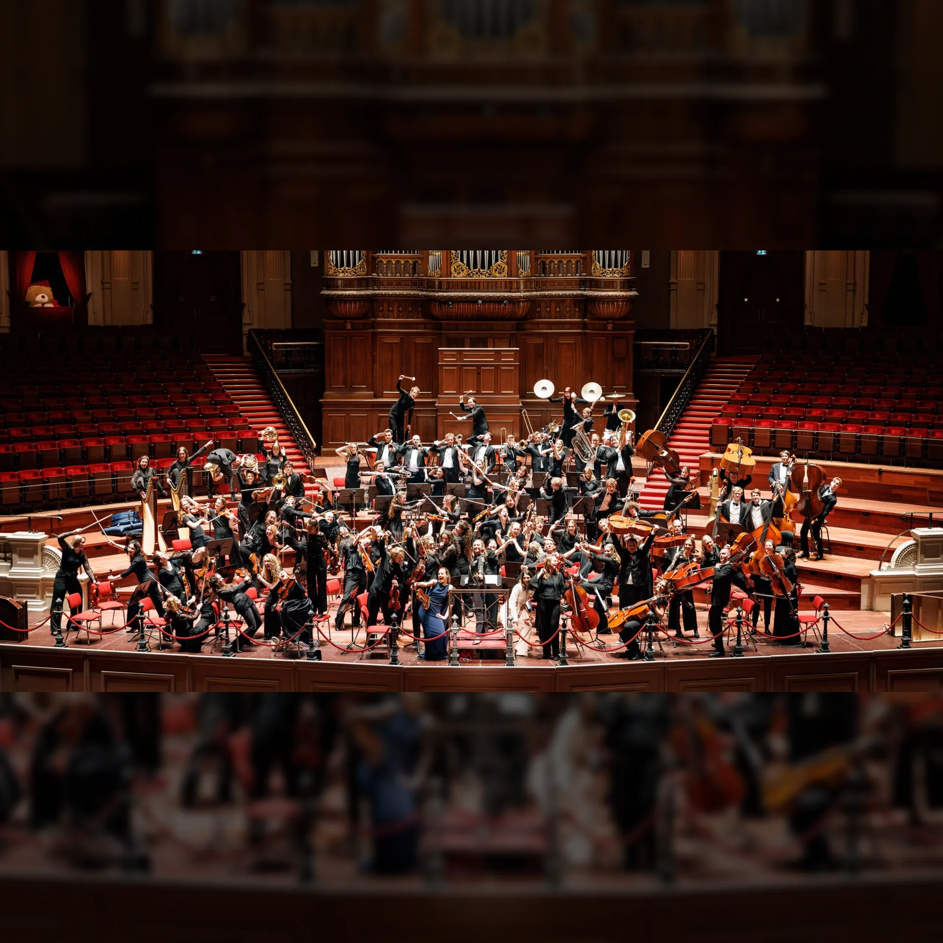 Dutch Student Orchestra 2026
